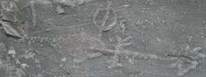 Jeffers Petroglyphs (Wikimedia Commons)